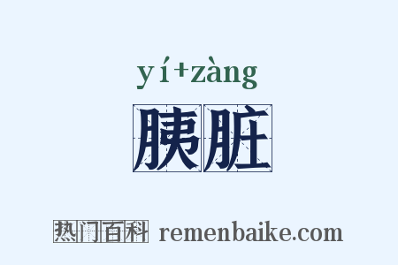 胰脏是什么意思的图片